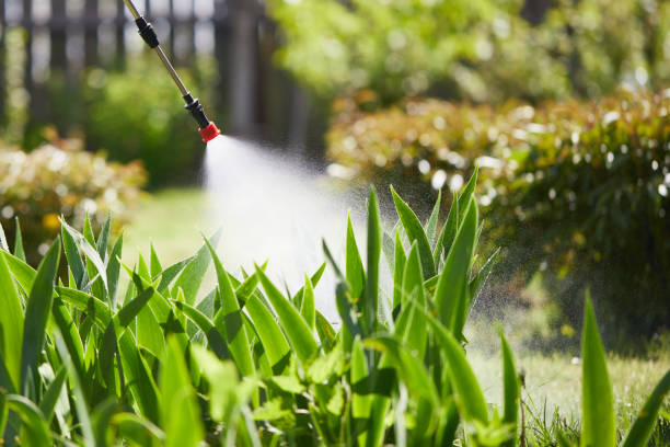24/7 Emergency Fumigation Services experts in Burton, MI