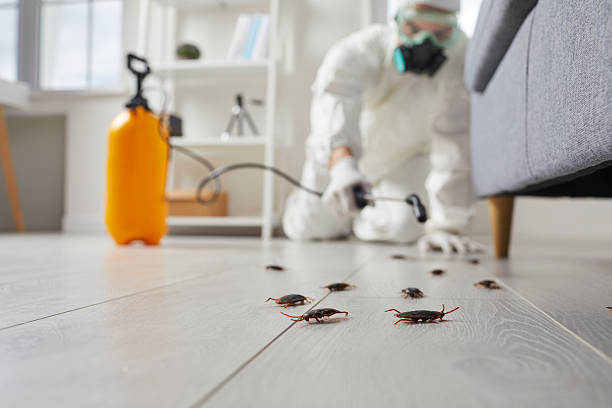 Trusted Mosquito Control service in Burton, MI - Nex Pest Control