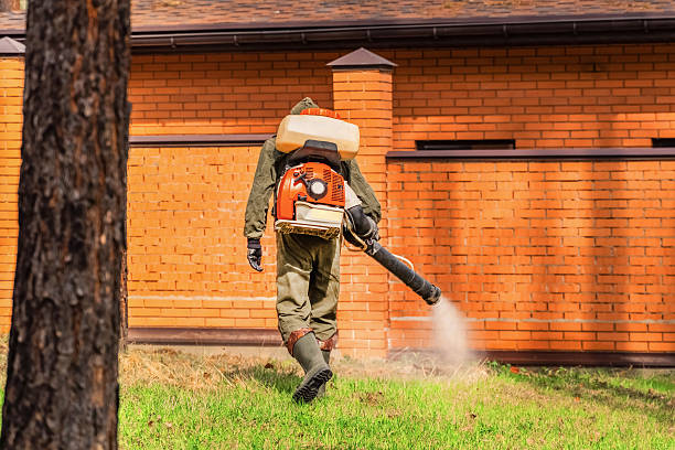 Trusted Cockroach Control service in Burton, MI - Nex Pest Control